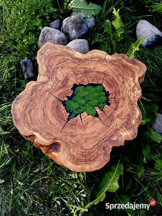 Stolik kawowy z Plastra Drewna Oliwnego Skierniewice