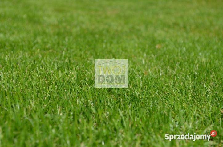 Grunt 3930m2 Wołomin budowlana