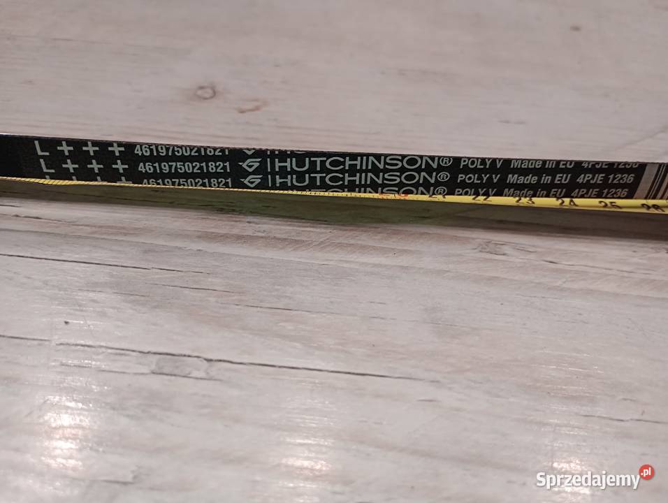 Pralka Whirpool pasek klinowy Polska