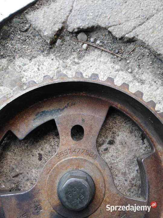 KOŁO WAŁKA ROZRZĄDU CITROEN PEUGEOT FORD VOLVO Jasło