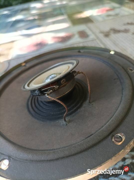 Pioneer TS1613 głośniki do auta Japan retro Płock