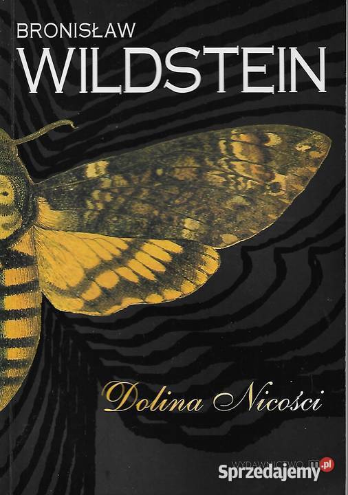 Dolina nicości B Wildstein lubelskie