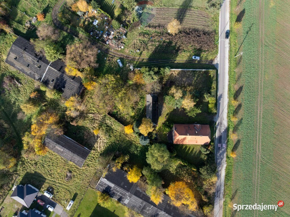 Działka zabudowana starą szkołąjezNiepruszewskie 400m2 wielkopolskie Zborowo