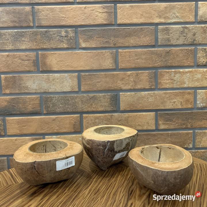 Doniczka z łupiny kokosa Bochnia