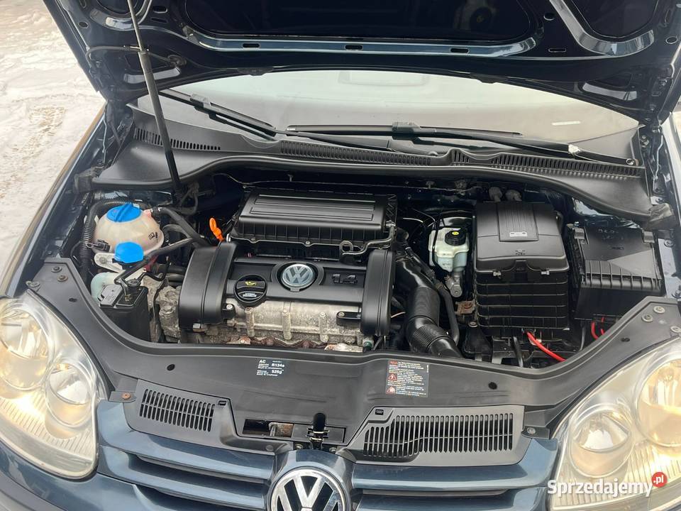 Golf V z Niemiec Klima Benzynka Stary motor