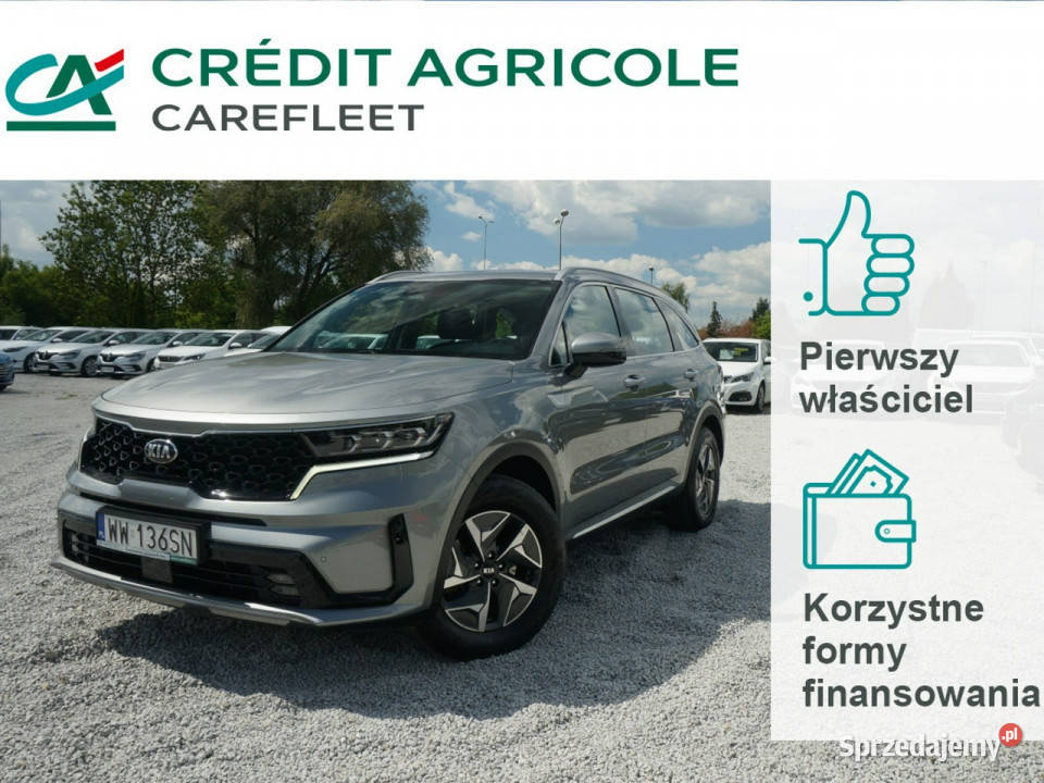 Kia Sorento 16 TGDI HEV L 4WD 230 Salon Polska wielkopolskie