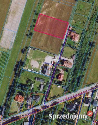 Działka budowlana 2900m2 DOBRZYŃ Adamówek