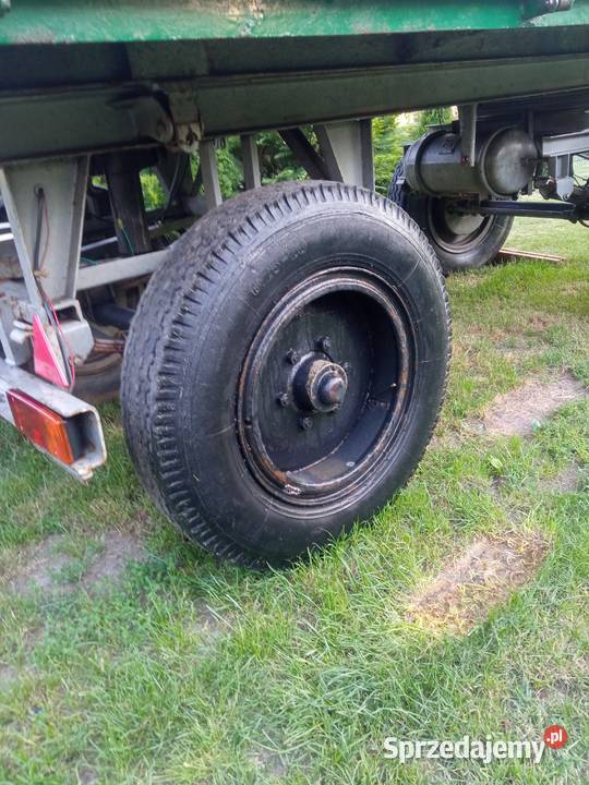Koła 825 r 20 Chełm sprzedam