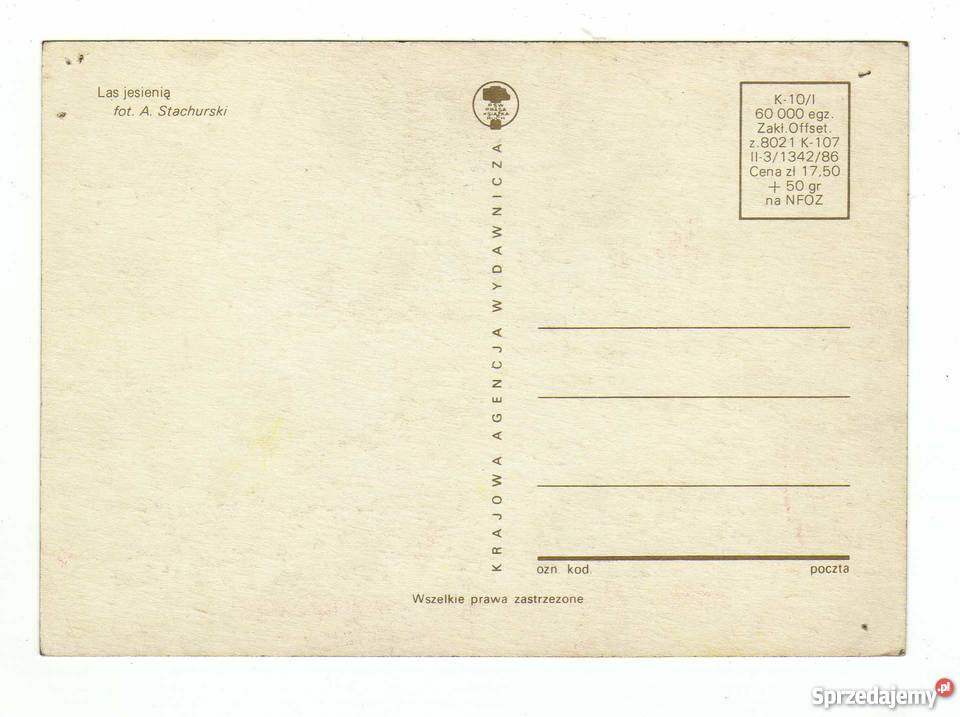 LAS JESIENIĄ POCZTÓWKA Krynki