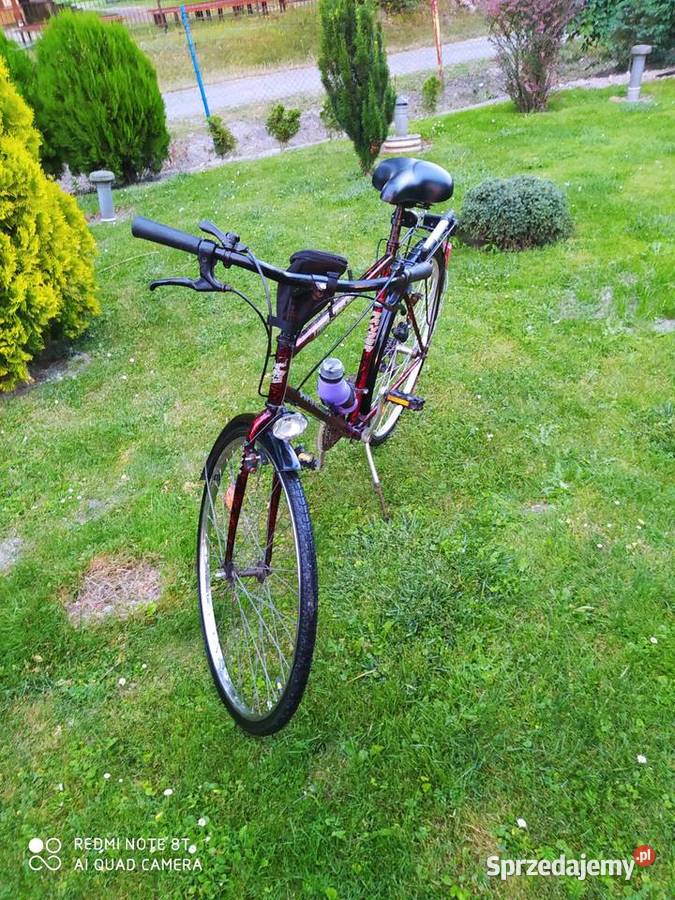 Rower trekkingowy męski Krasnystaw