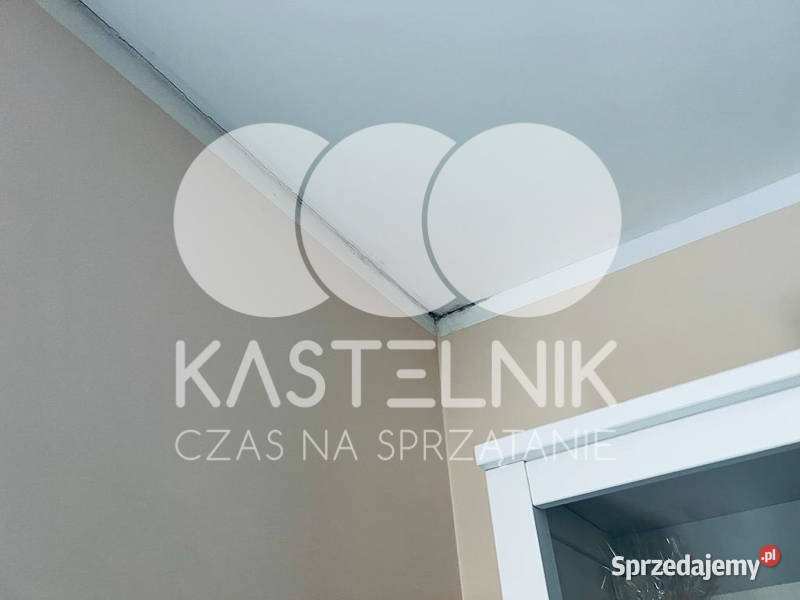 Odgrzybianie ścian Góra Kastelnik Usuwanie dolnośląskie