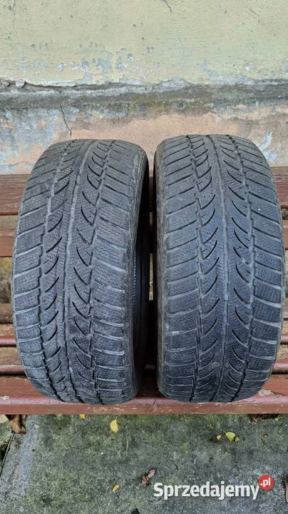 Sportiva Snow Win 2 19550R15 2 zimowa