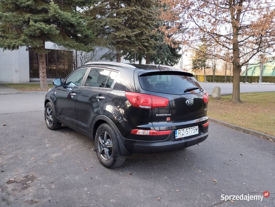 KIA SPORTAGE 2015 poj16 benzynasalon przebieg podkarpackie Rzeszów sprzedam