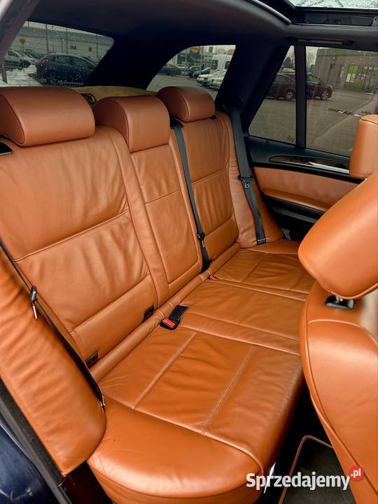 BMW X5 E53 30d 218 Wersja Sport 20 Skóra karmel nawigacja Prochowice