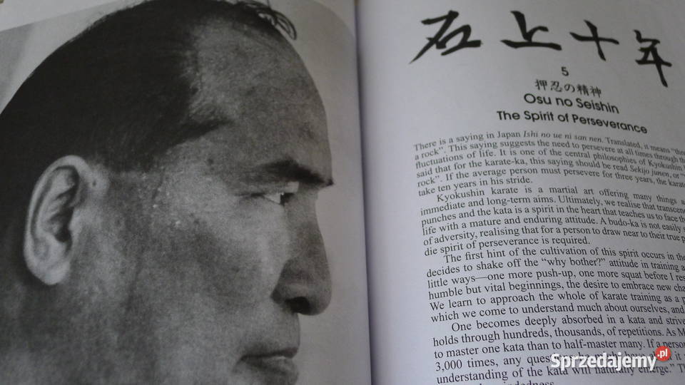 Oyama Budo Karate Bruin Kyokushin 10Kyu 4Dan mazowieckie