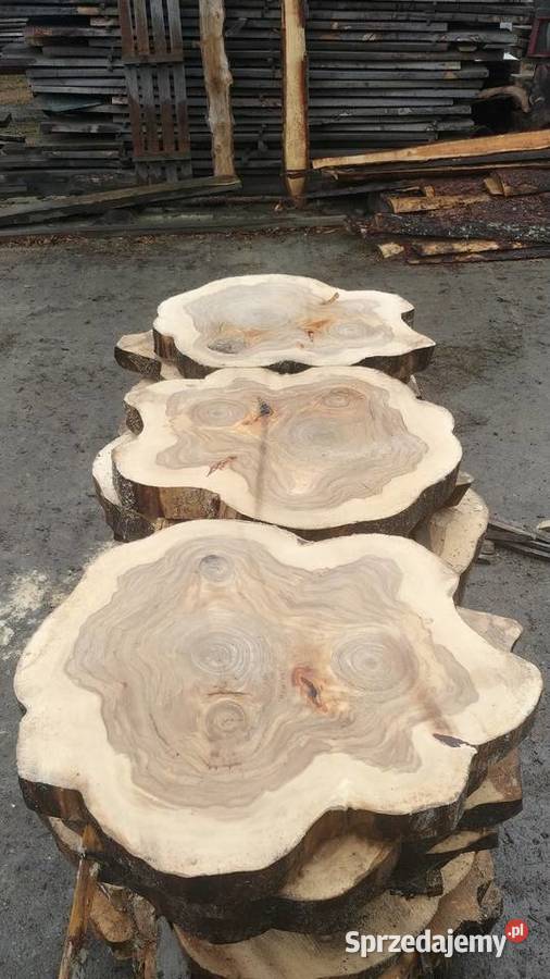 Plastry talary krążki drewna Pieńki na stolik Izdebnik