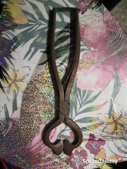 Antyczne Nożyce do Cukru Antyki Radom