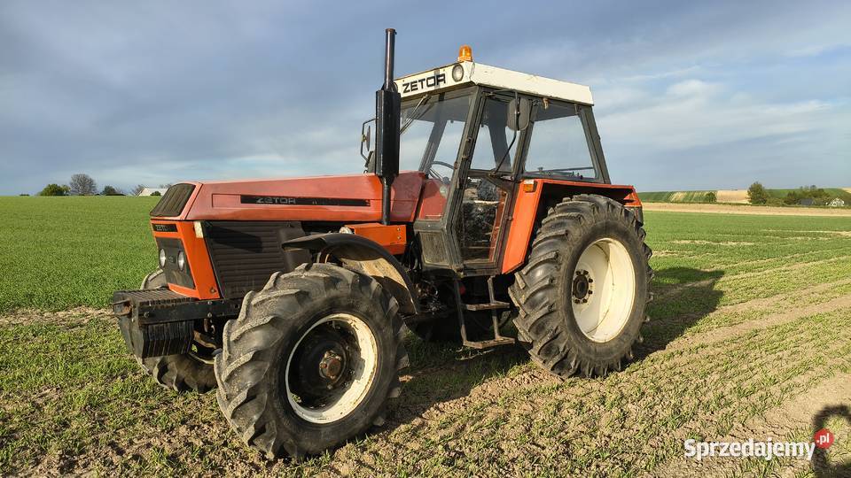 Zetor 16145 pług świętokrzyskie Działoszyce