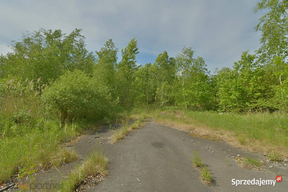 Działka 14508m2 Wałbrzych Ludowa 70zł/m2 Sprzedaż