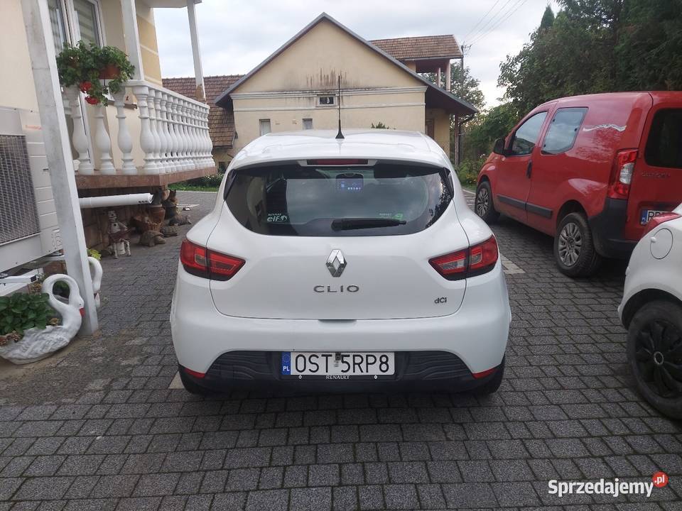 Renault Clio 2004 Blizne