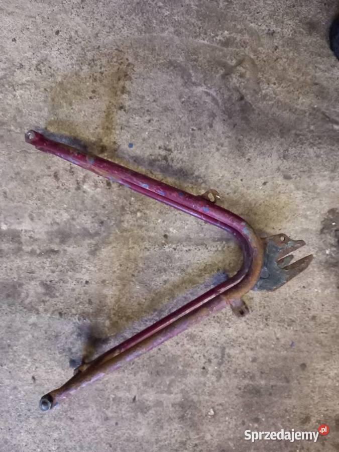 Wachacz komar sztywniak