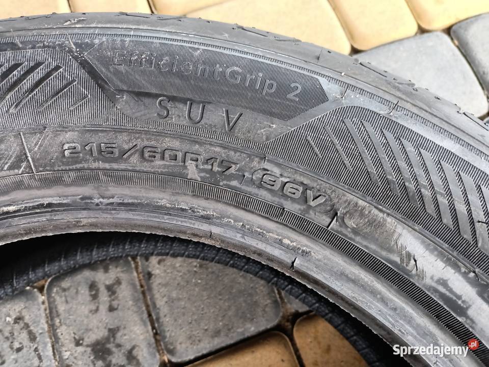 Goodyear Eficient Grup 2 SUV Niedźwiada