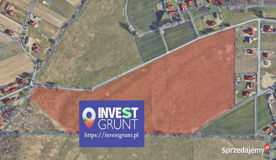 700 ha przetarg na dzierżawę gruntów rolnych Przychojec sprzedam