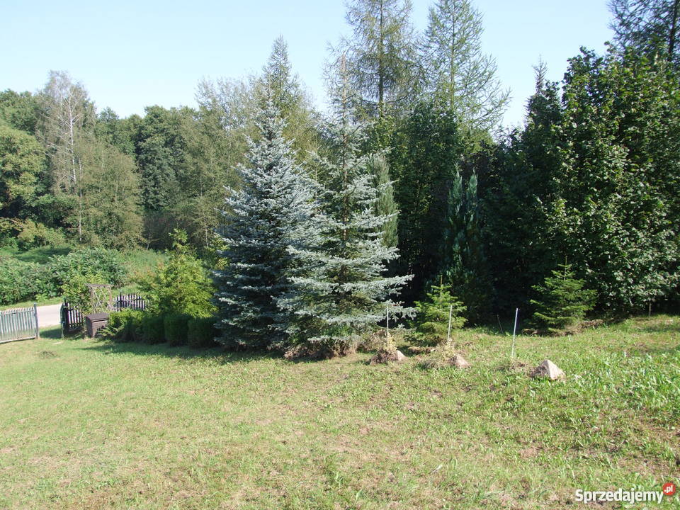 Piękna działka w Siemieniu Nadrzecznym 140m Siemień Nadrzeczny sprzedam