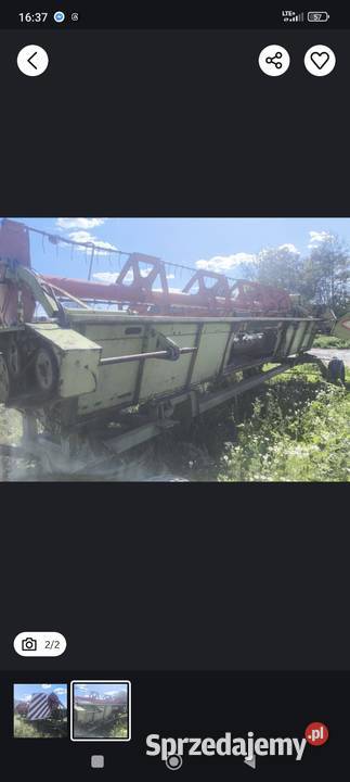 Heder do słonecznika Claas C600 Hajnówka