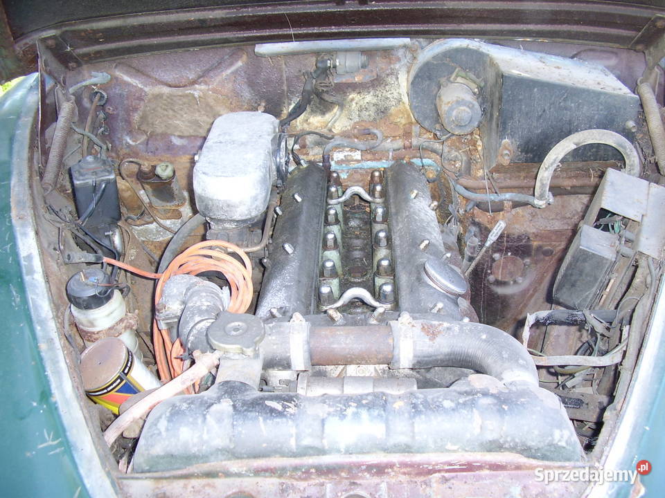 Jaguar MK2 24 limuzyna