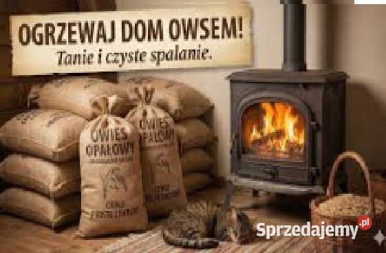 owies kukurydza big bag pellet opał kuku owsa Wisznice