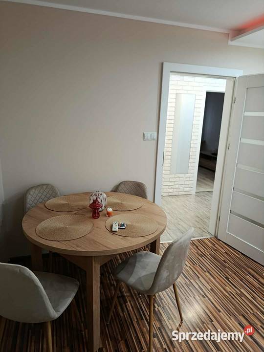 wynajmę mieszkanie 39 mkw na parterze Płock