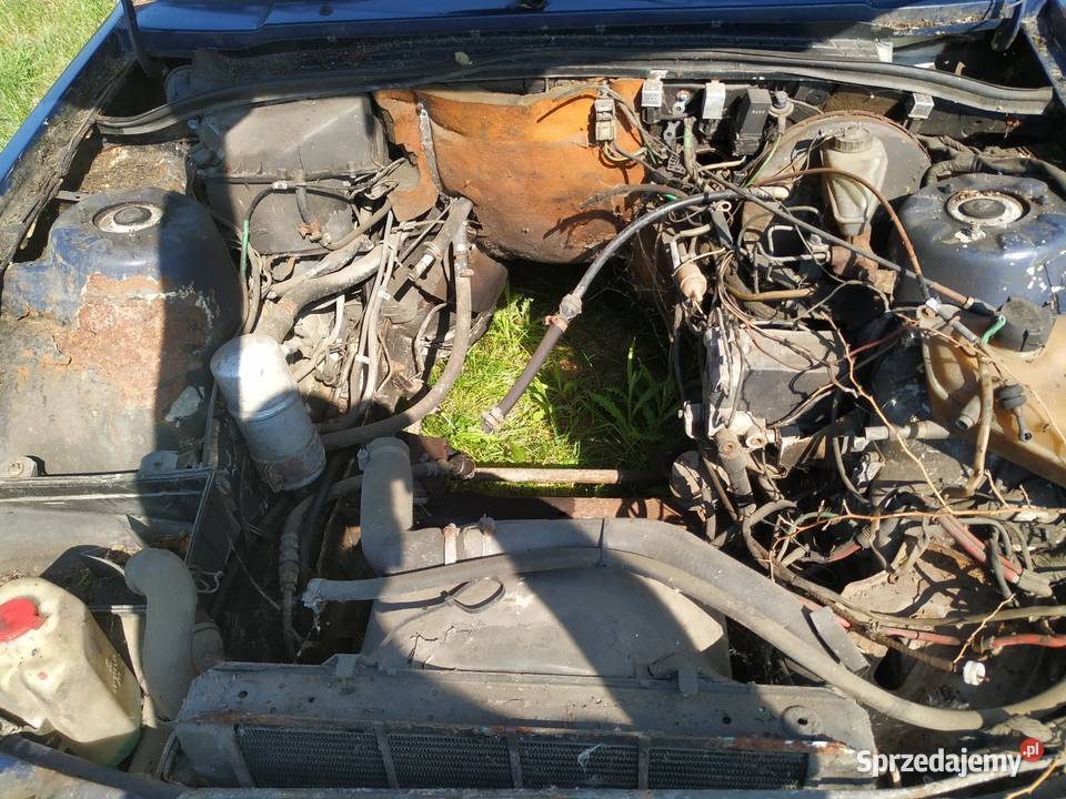 Sprzedam Hurtowo OPEL SENTATOR A w całosci na Pozostałe