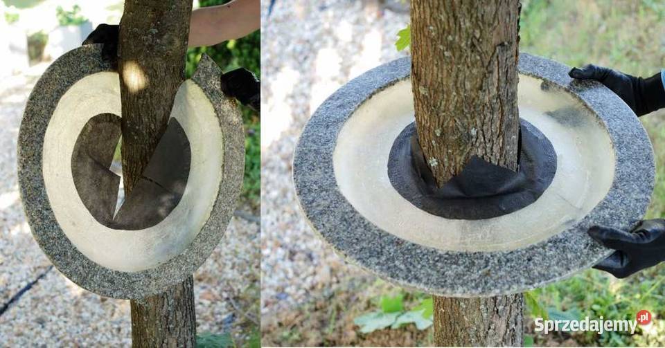 Obrzeże trawnikowe pod drzewa śr 50 podkarpackie