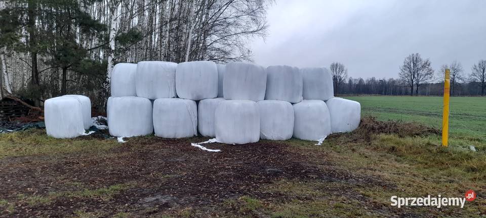 Sianokiszonkę 2022 sprzedam Ozimek