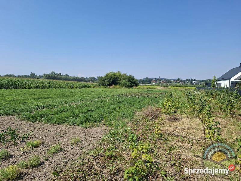 Niegoszowice gm Zabierzów płaska działka 4407 m2 4407m2