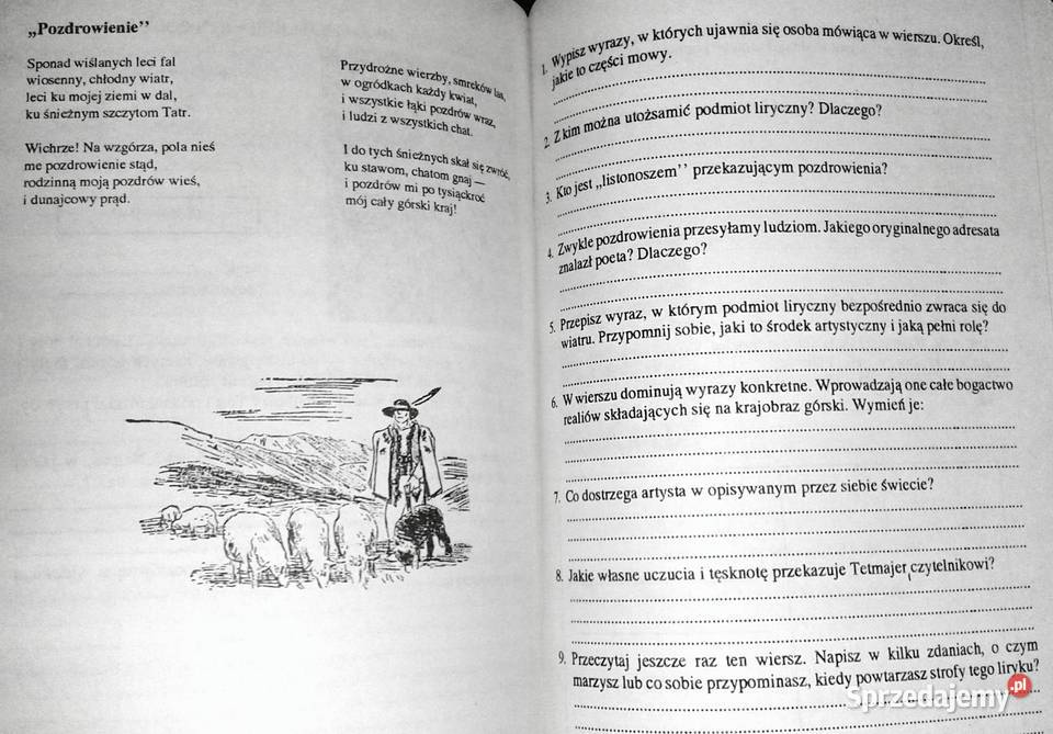 Język polski Zeszyt ćwiczeń kl 6 cz 2 Czesława lubelskie Chełm