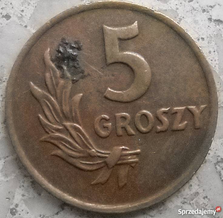POLSKA5 GROSZY1949 r Legionowo