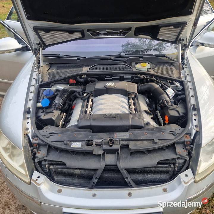 Volkswagen Phaeton Volkswagen Phaeton 42 V8 335 lubuskie