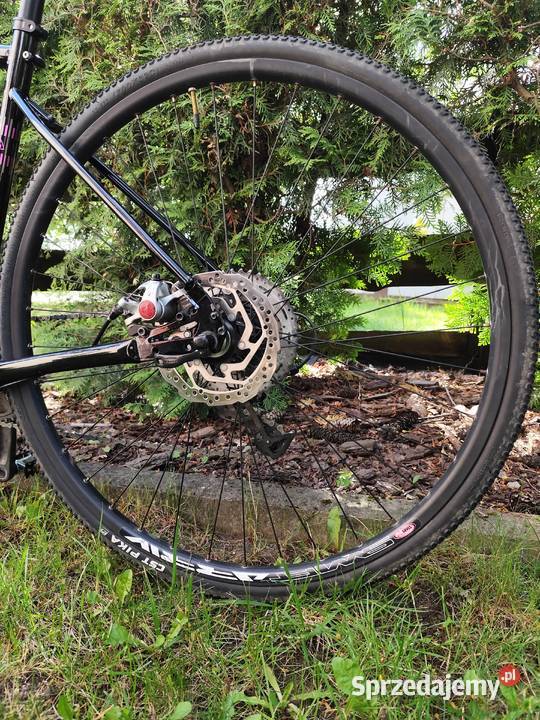 Rower gravel Marin Nicasio 52