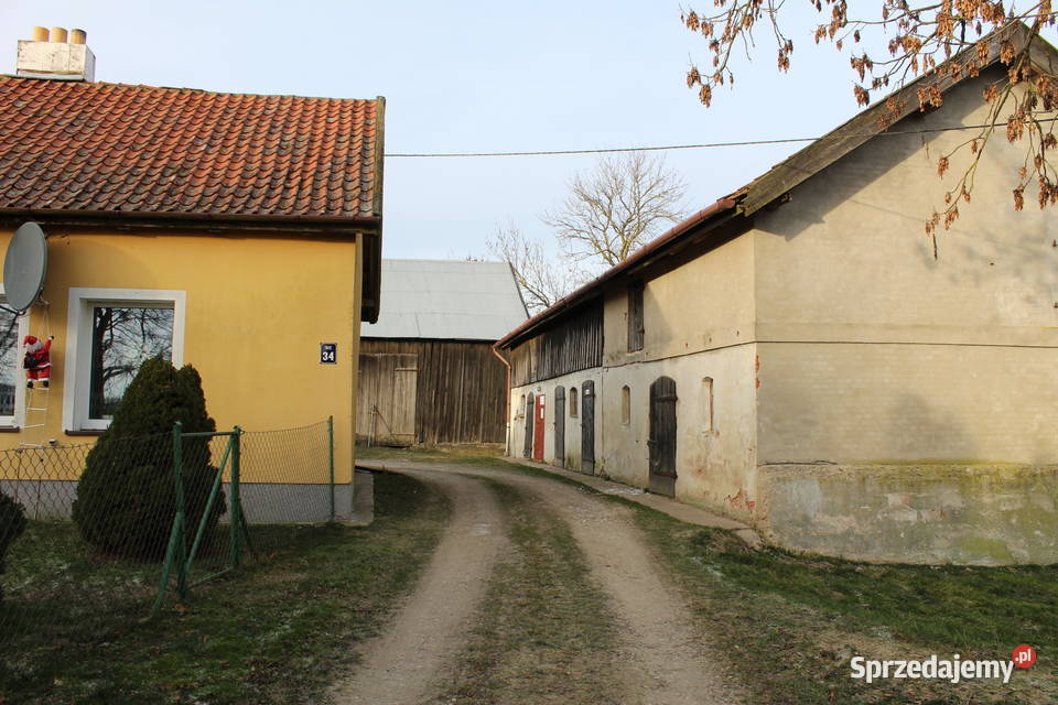Siedlisko w Silcu dom jednorodzinny na sprzedaż warmińsko-mazurskie Silec