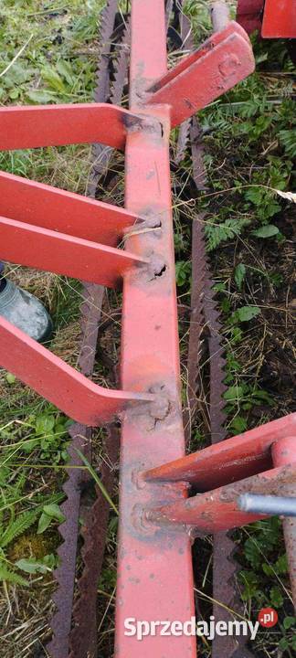 Talerzówka Strumyk 28m Łęki Szlacheckie