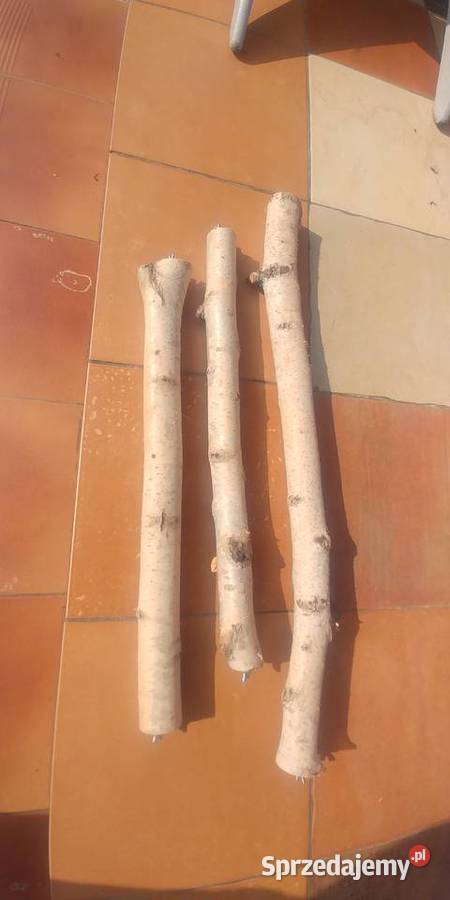 Żerdzie brzozowe z mocowaniami papug Dla ptaków Ruda Śląska