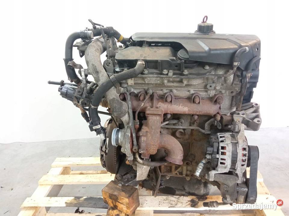 SILNIK KOMPLETNY DIESEL F1AE3481D 23 JTD Fiat sprzedam