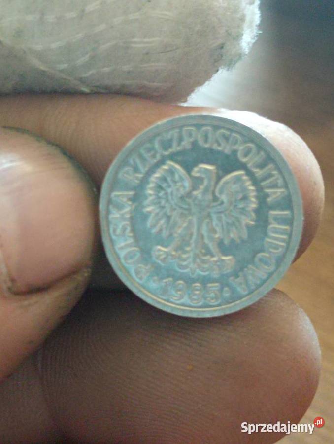 Sprzedam 10 gr 1985 r zzm lubelskie Chełm
