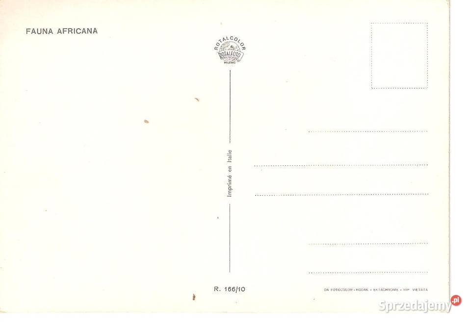 widokówka czysta Puławy