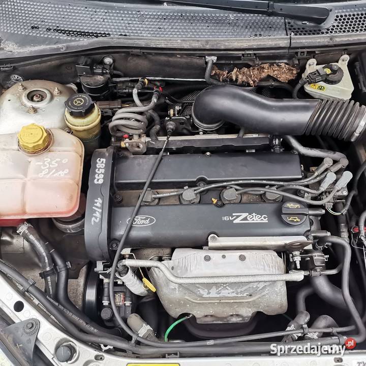 Ford Focus na części lubuskie Gubin