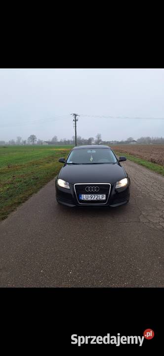 Audi a3 8P 2009 20 diesel automat dsg diesel Siedlce