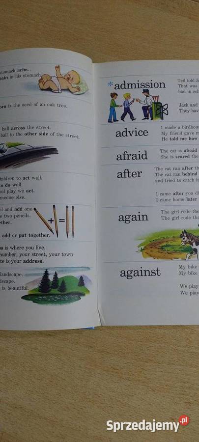 Nowy obrazkowy kolorowy słownik dzieci Książki do nauki języka obcego Lublin