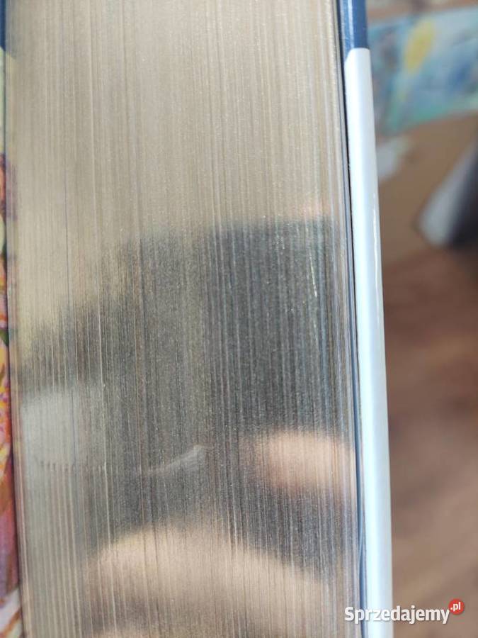 Biblia Ekumeniczna z ilustracjami Tarnowskie Góry sprzedam